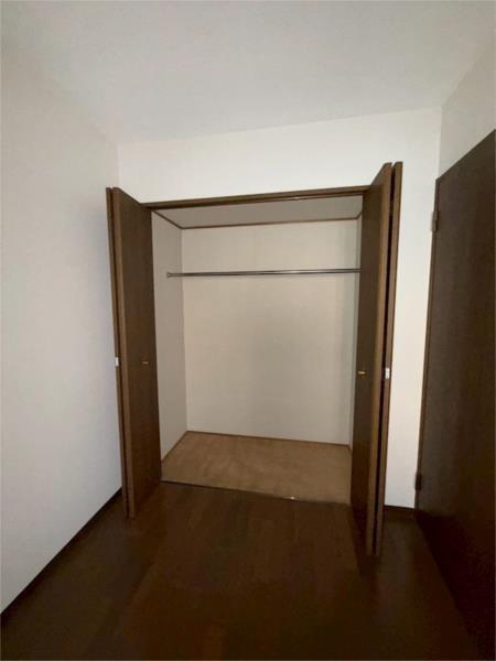 プラザハイツ二ツ屋C棟 収納