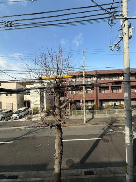ランベール池北 その他