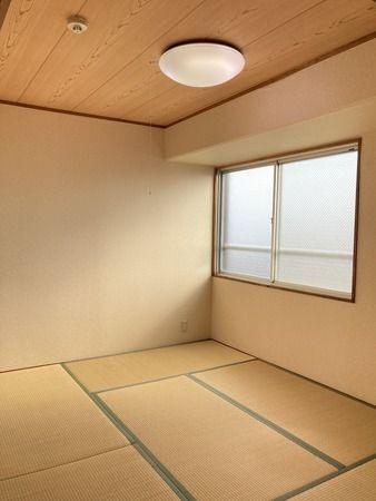 シロハイヌ門戸 その他