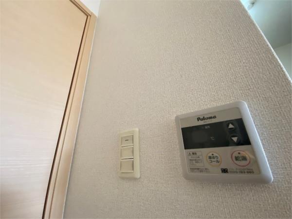 ワイズ　コンブリオV その他