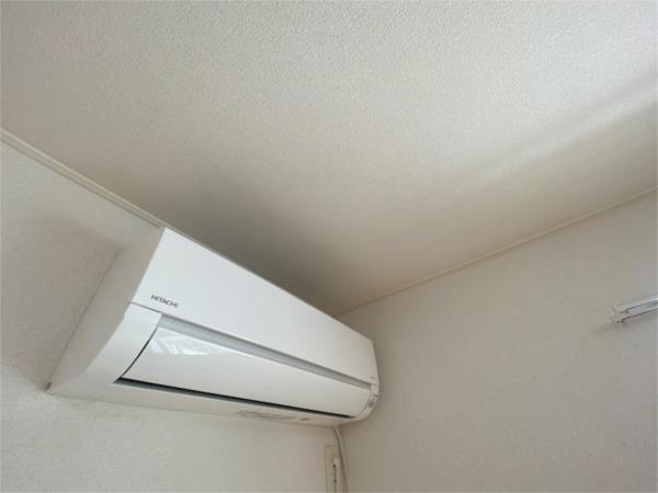 ワイズ　コンブリオV その他