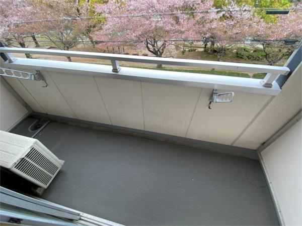 ヴィンチェロ 部屋画像