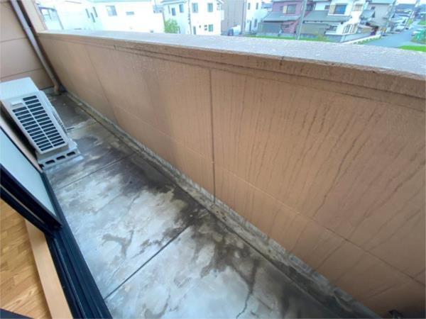 エクセルピア 部屋画像