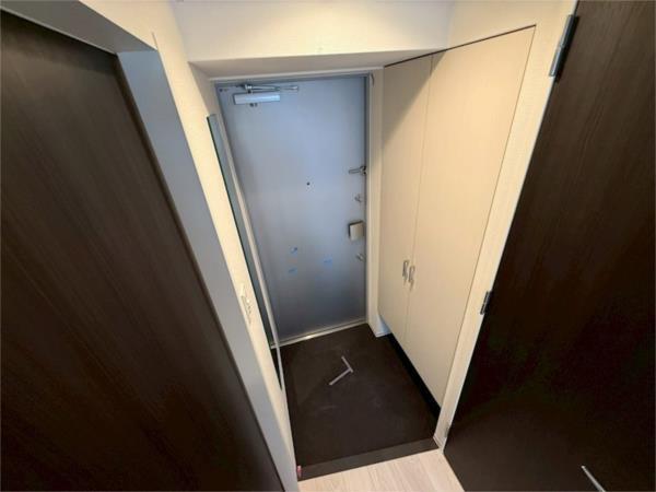 スワンズシティ神戸湊川II 玄関