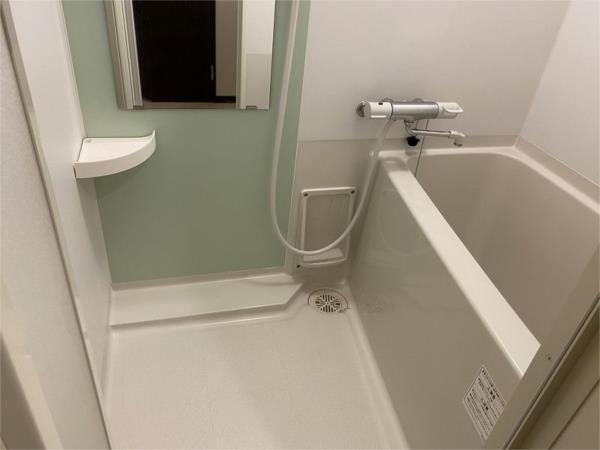 レオネクストミズキ その他