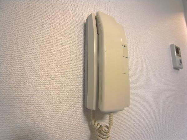 VILLA HIRANO セキュリティ