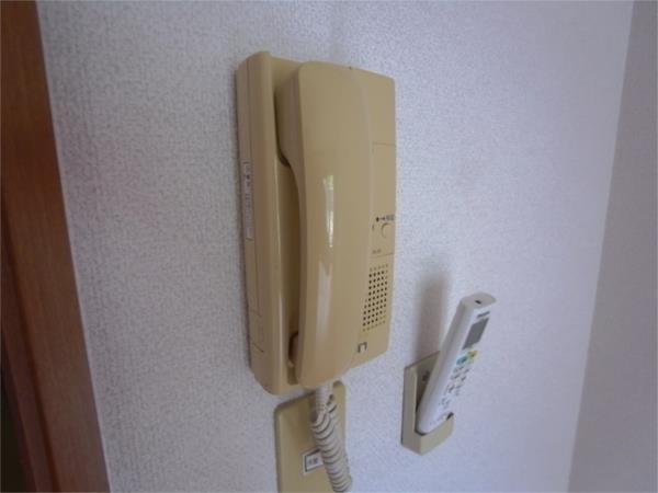 セレブ岡本 その他