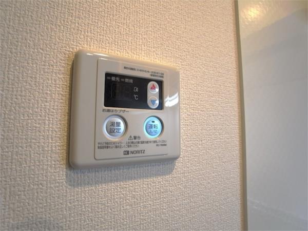 シャルマン　ヴィオラ その他