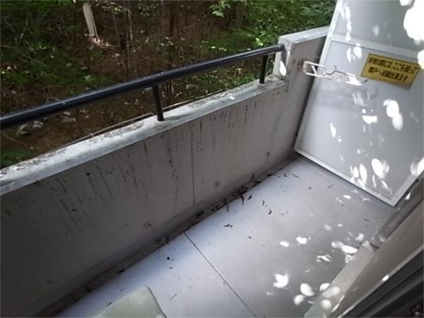 M’s residence今寺 部屋画像