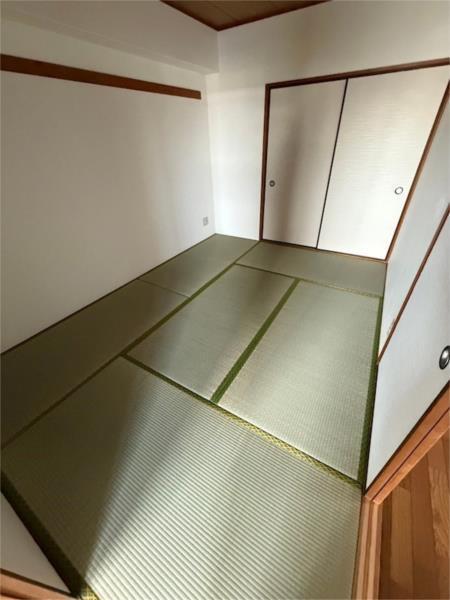 Ocean その他