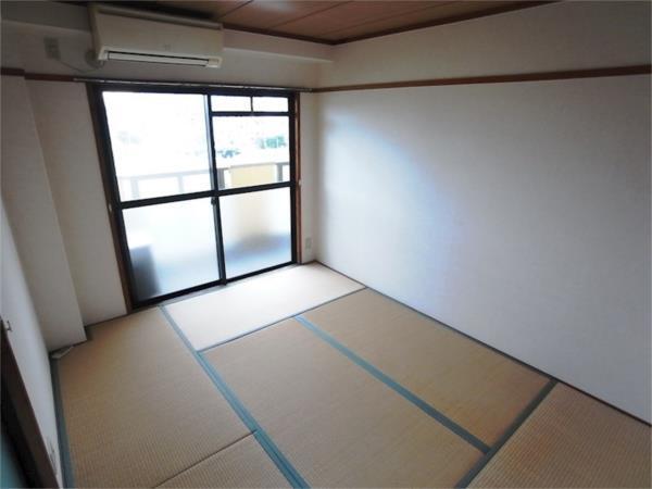 ビーフェリス その他