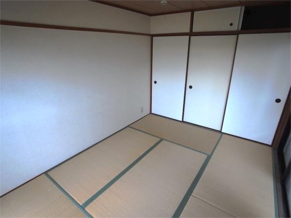 ビーフェリス その他