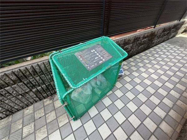 ソレイユ その他