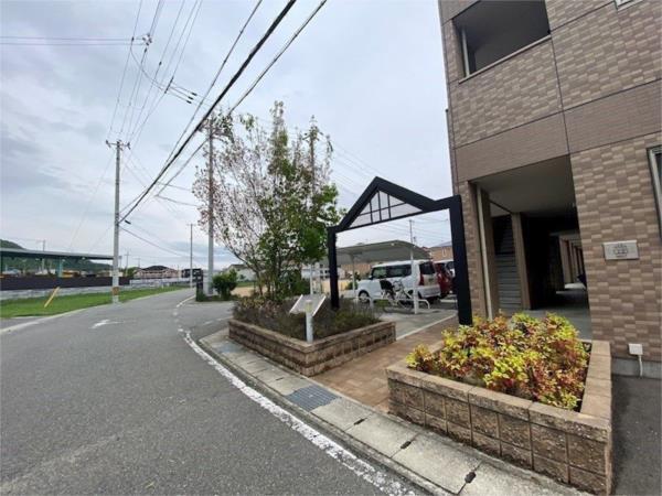 アンプルール その他