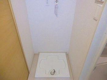 ラフレシールR その他