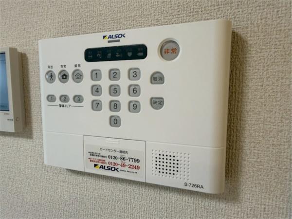Cocoonia その他