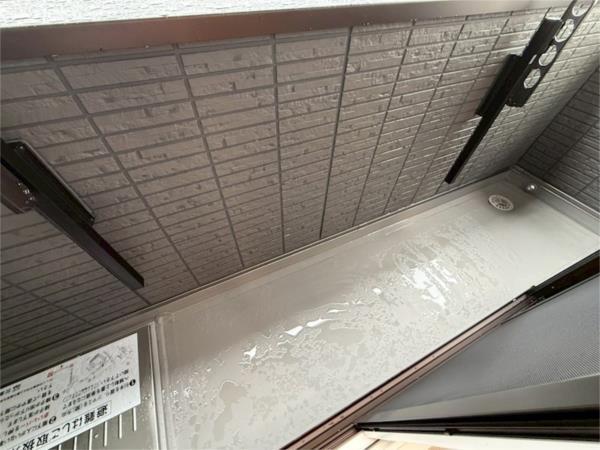 Cocoonia 部屋画像