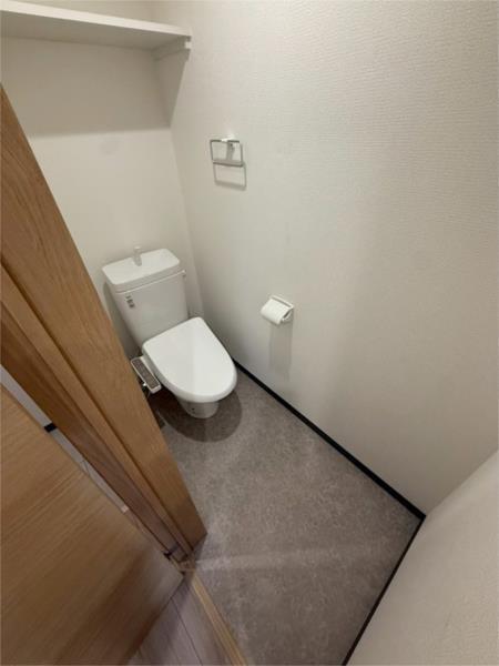 S.Apt.王居殿III トイレ