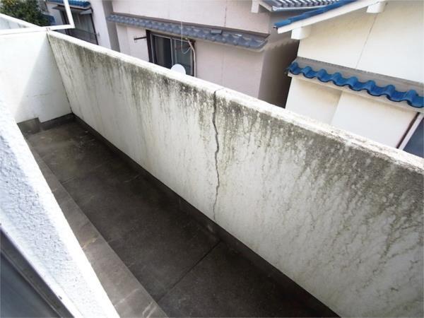 グリーンマンション（304） その他