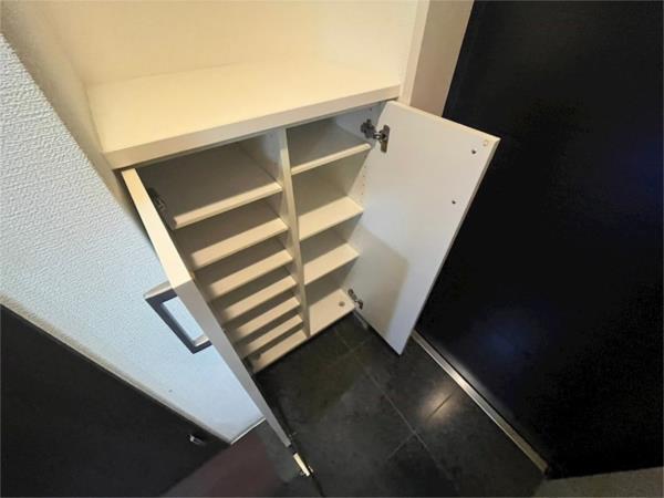 レジュールアッシュ神戸元町 玄関