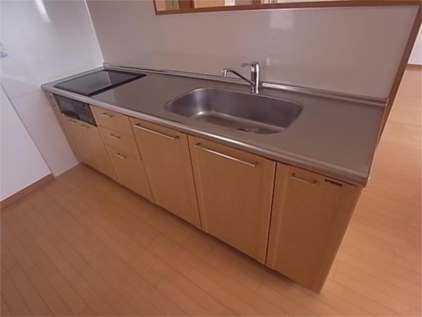 パレス東洋上甲子園 キッチン