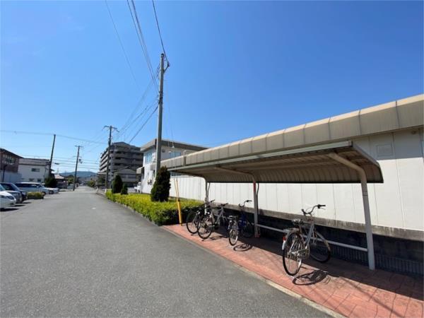プラシード その他