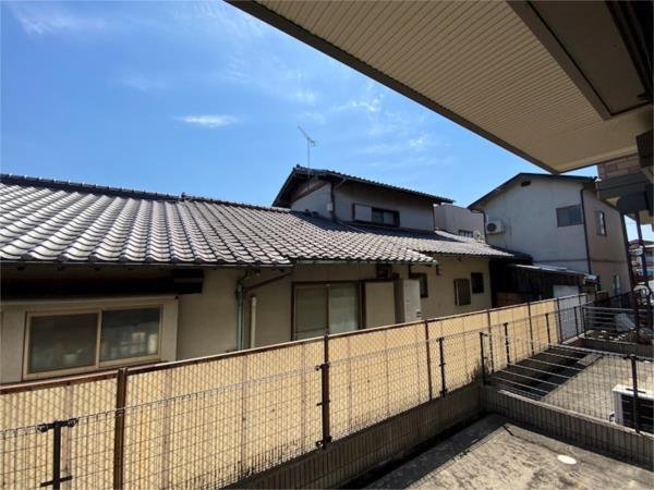 プラシード その他