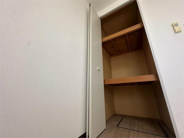 ドミールほづみ 収納