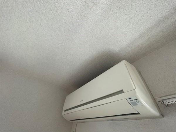 ローズミードＳ　I その他