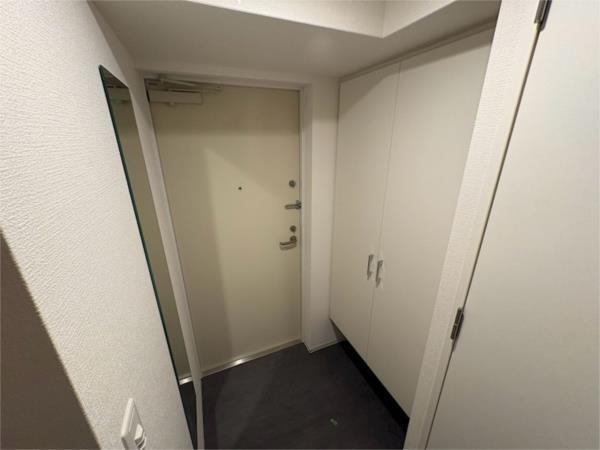 セレニテ西元町アリエ その他