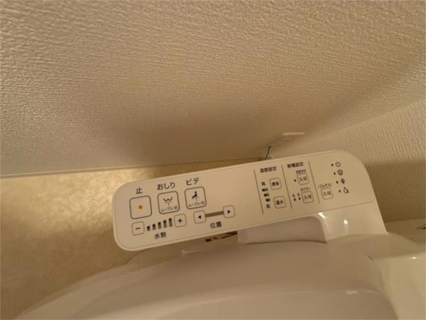 セレニテ西元町アリエ その他