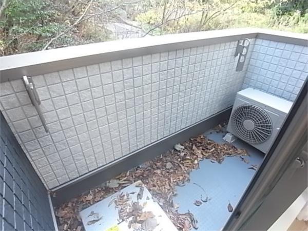 エヌエムサンカンテキャトフ　A棟 部屋画像