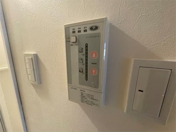 ピュア打出 その他
