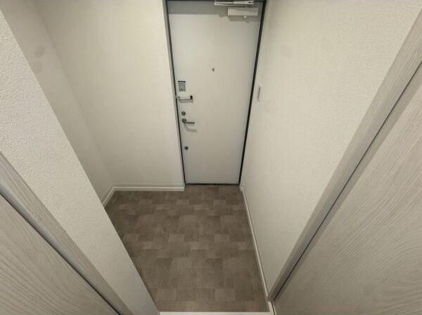 ノワール八代本町 玄関