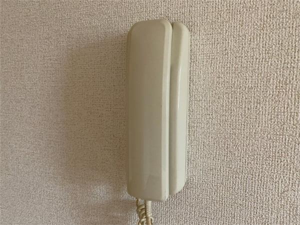 フォレスト セキュリティ