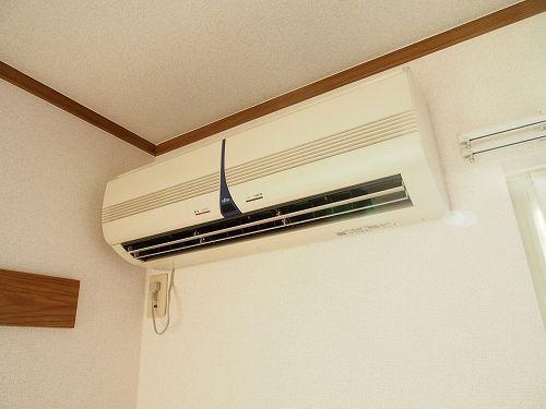 フォレスト 部屋画像