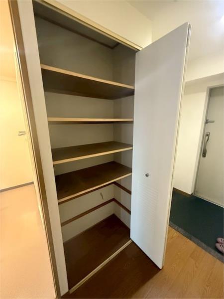 パレセゾン 収納