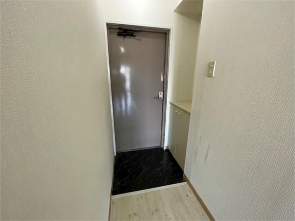 グランディアルネッサンス野崎通 玄関