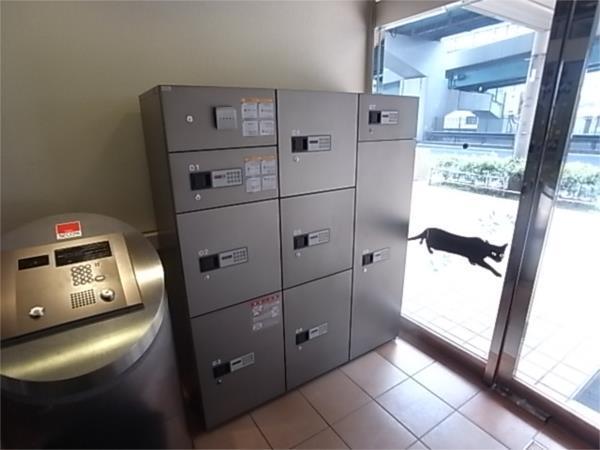 タカマツ神戸駅南通 部屋画像