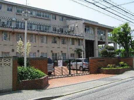 兵庫県立芦屋高等学校：272m