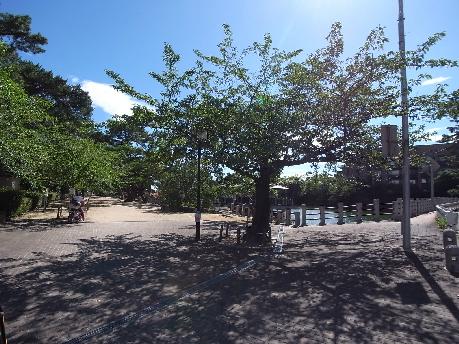 深田池公園：532m