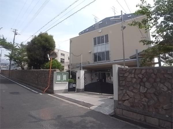 神戸市立住吉中学校：899m
