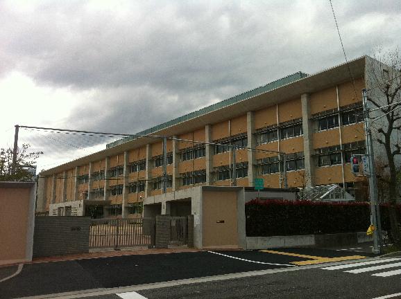 精道小学校：209m