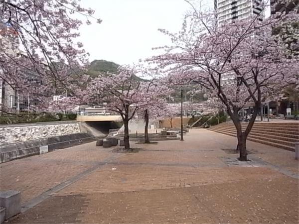 生田川公園：132m