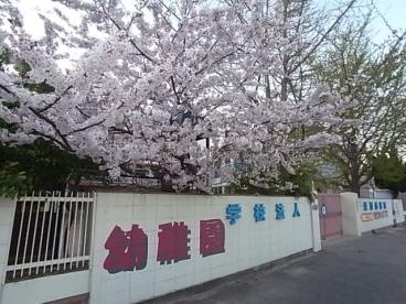 近田幼稚園：59m