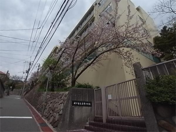 神戸市立長峰中学校：263m