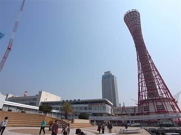 ポートタワー：216m