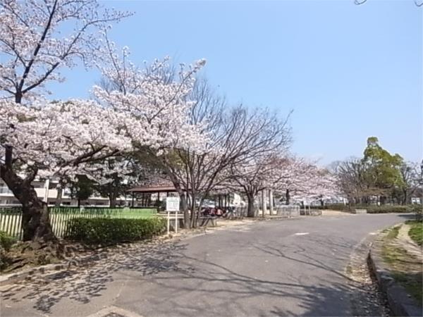 大倉山公園：341m