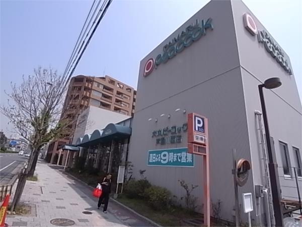 ダイマルピーコック：373m