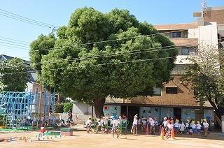 宮川幼稚園：271m